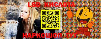 молекула духа Краснознаменск