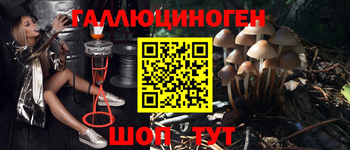Псилоцибиновые грибы мухоморы  Вход с VPN  Каменка 